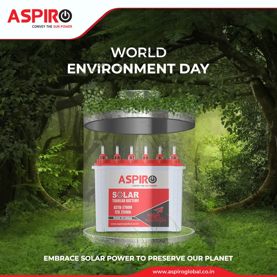 Aspiro Environment Day